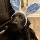 @cooper_and_sirius