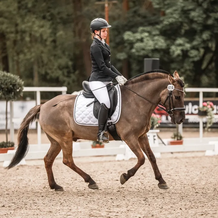 alina_merlin