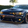 scatpack_.officia