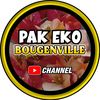 pakekobougenville5