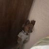 user278380137