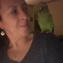 @nely877