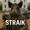 straikstroy
