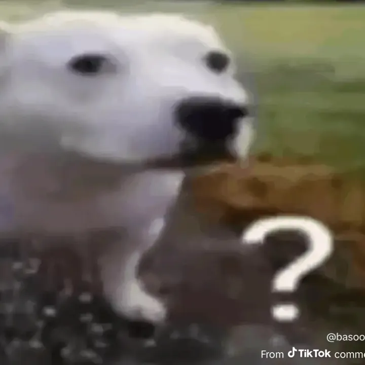 @rpkej