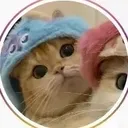 @wh0s.jayl33