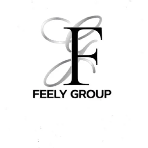 feelygroup