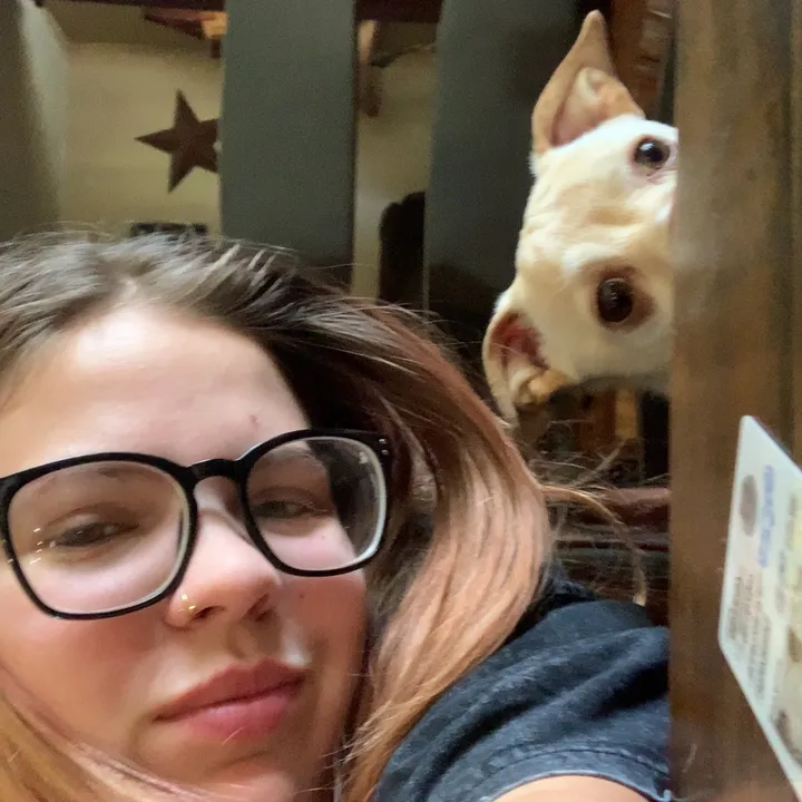 @luludummond