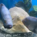 @aquariumparadisenj