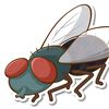 mosca_gd