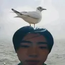 @jihyos.planet
