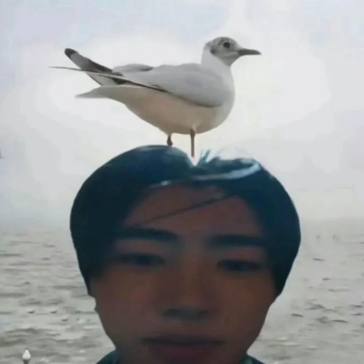 jihyos.planet