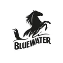 @bluewater_shopping