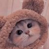 smiling_get