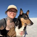 @collieandcorso