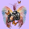 angel_wing_photography