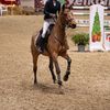 top_sport_riding