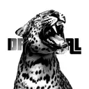 @dkr4real