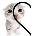 @imf_ckingtierd