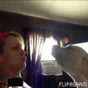 @jenninecook