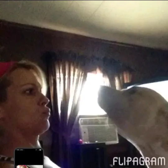 @jenninecook