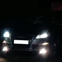 @fartunskie_
