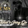 mitchellcmsmusik