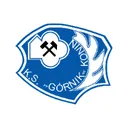 @gornik_konin