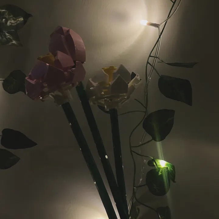 lonely.heartz_club