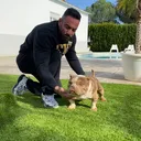 @peludosadorable