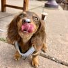 itsfrankiegirl