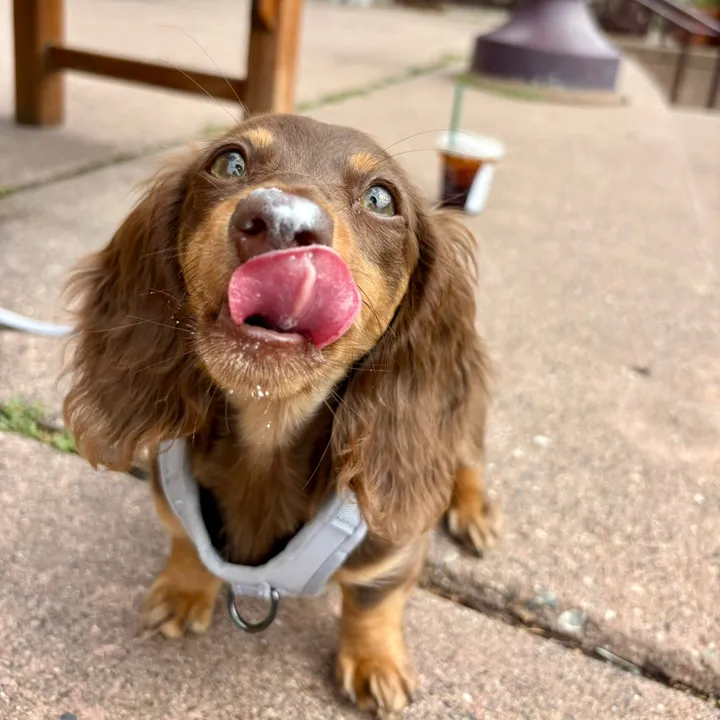 itsfrankiegirl