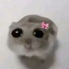 lisdanyscrazyworld