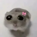 @lisdanyscrazyworld