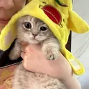 @songszzws7o