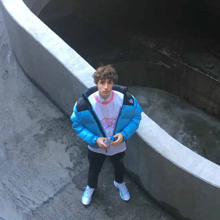 louislink