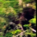 @forestfriend70