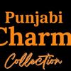 punjabitok1