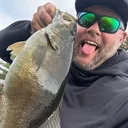 @shanwillisfishing