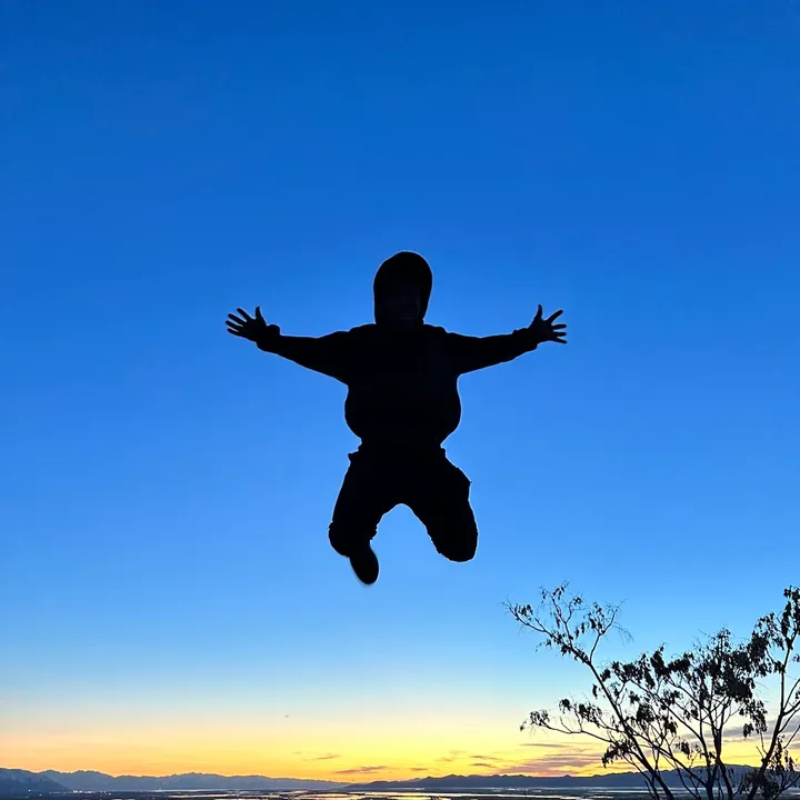 fabianmavarezz