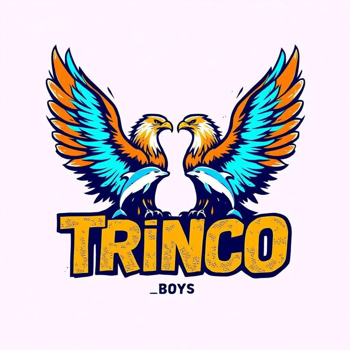 🦅🔥🦅 𝙫𝙖𝙨𝙖𝙣𝙩𝙝 🦅🔥🦅 - original sound
