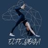 elfe966