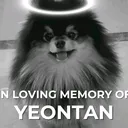 @army_bangtan_7_forever