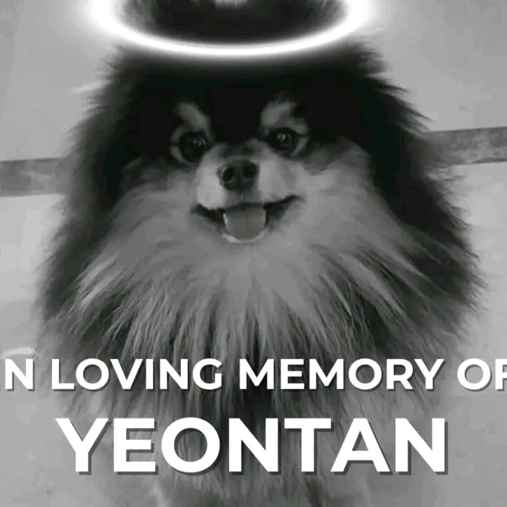 @army_bangtan_7_forever