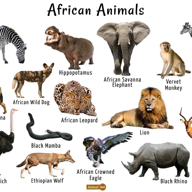 1990animals