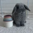 @bunsandmello
