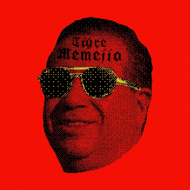 tigrememejia