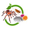 tydyeexotics