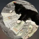 @buciod5