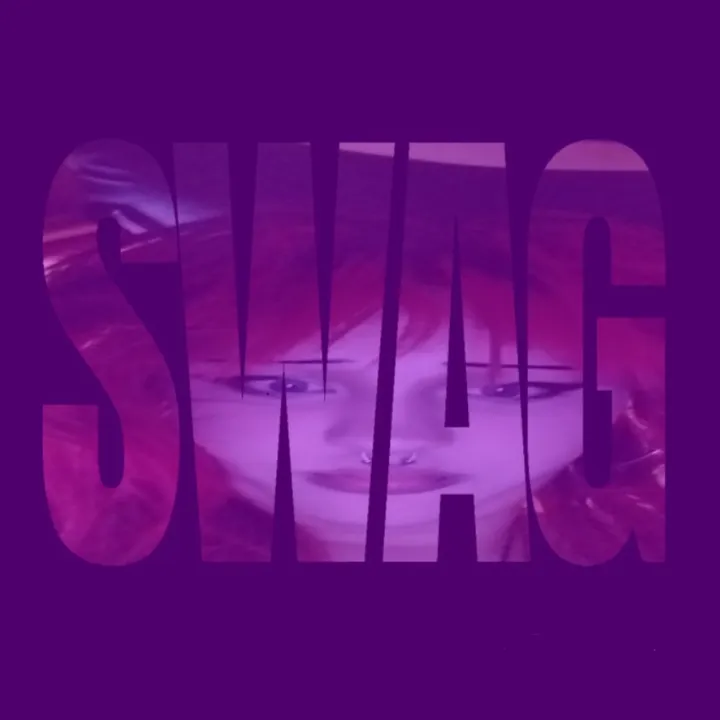 nvhsack
