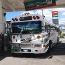 @buses._.elegantes